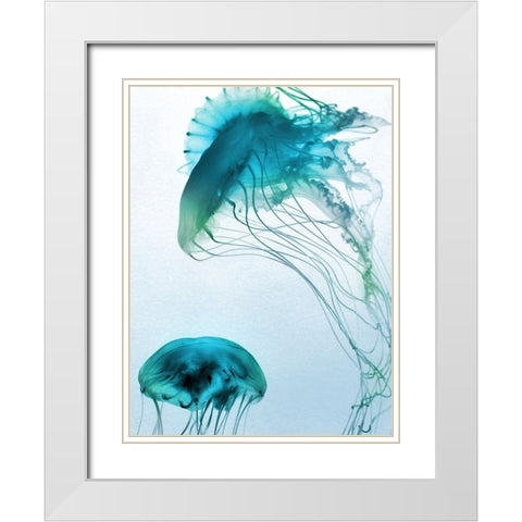 Jelly Fish Friends White Modern Wood Framed Art Print with Double Matting by Prime, Marcus