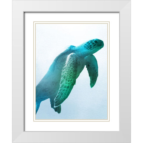 Floating Turtle White Modern Wood Framed Art Print with Double Matting by Prime, Marcus