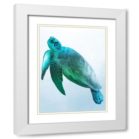 Floating Turtle 2 White Modern Wood Framed Art Print with Double Matting by Prime, Marcus