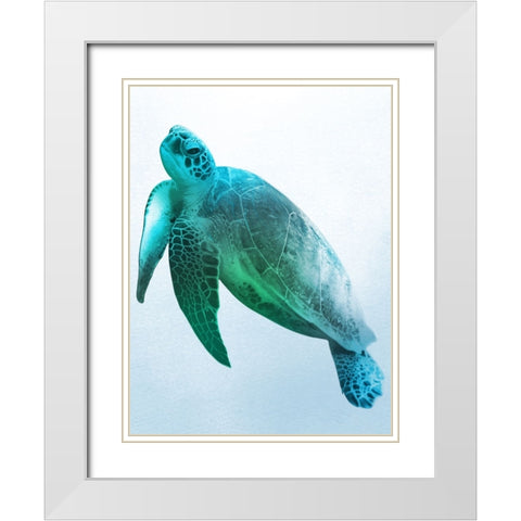 Floating Turtle 2 White Modern Wood Framed Art Print with Double Matting by Prime, Marcus