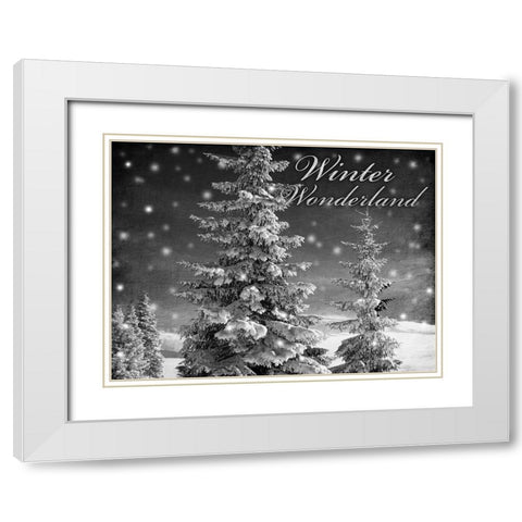 Winter Wonderland 1 White Modern Wood Framed Art Print with Double Matting by Prime, Marcus