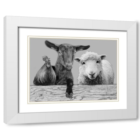 Three Amigos 2 White Modern Wood Framed Art Print with Double Matting by Prime, Marcus