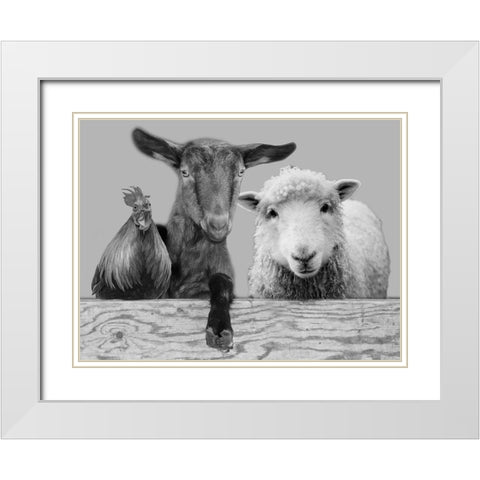 Three Amigos 2 White Modern Wood Framed Art Print with Double Matting by Prime, Marcus