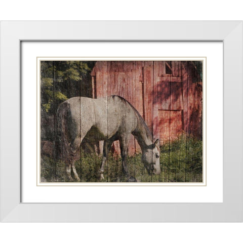 Summer Feeding White Modern Wood Framed Art Print with Double Matting by Prime, Marcus