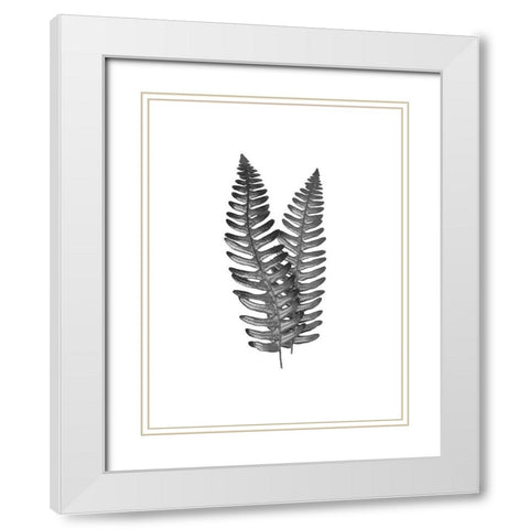 Fern Dueling 1 White Modern Wood Framed Art Print with Double Matting by Prime, Marcus