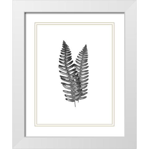 Fern Dueling 1 White Modern Wood Framed Art Print with Double Matting by Prime, Marcus