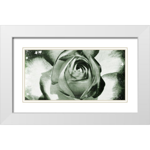 Floral Droplets White Modern Wood Framed Art Print with Double Matting by Prime, Marcus