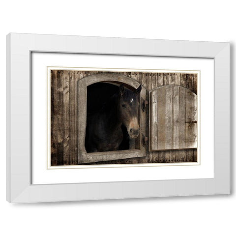 Loving Peek 1 White Modern Wood Framed Art Print with Double Matting by Prime, Marcus