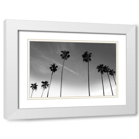Passerby Palms White Modern Wood Framed Art Print with Double Matting by Prime, Marcus
