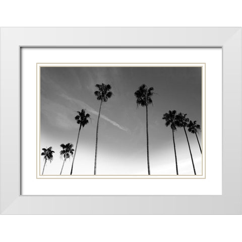Passerby Palms White Modern Wood Framed Art Print with Double Matting by Prime, Marcus