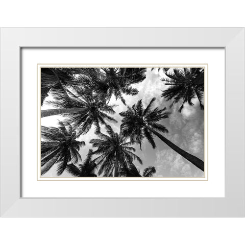 Passerby Palms 2 White Modern Wood Framed Art Print with Double Matting by Prime, Marcus