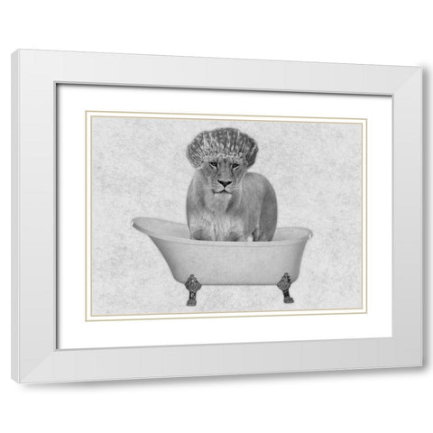 Bathing Lioness 2 White Modern Wood Framed Art Print with Double Matting by Prime, Marcus