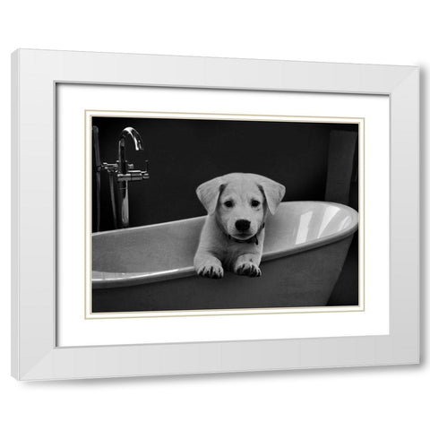 Bathroom Friend 1 White Modern Wood Framed Art Print with Double Matting by Prime, Marcus