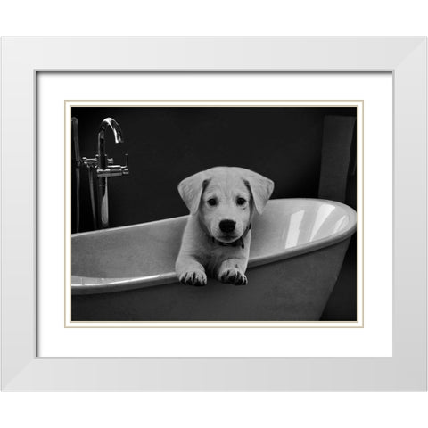 Bathroom Friend 1 White Modern Wood Framed Art Print with Double Matting by Prime, Marcus