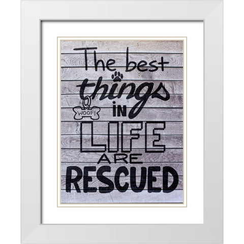 Rescued Love 1 White Modern Wood Framed Art Print with Double Matting by Prime, Marcus