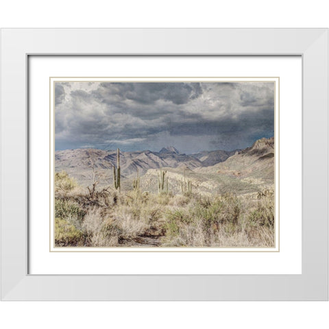 Desert Oasis White Modern Wood Framed Art Print with Double Matting by Prime, Marcus
