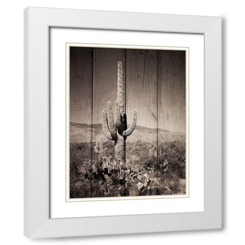 Western Vibes White Modern Wood Framed Art Print with Double Matting by Prime, Marcus