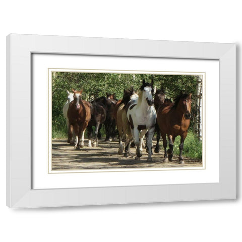 Galloping Friends White Modern Wood Framed Art Print with Double Matting by Prime, Marcus