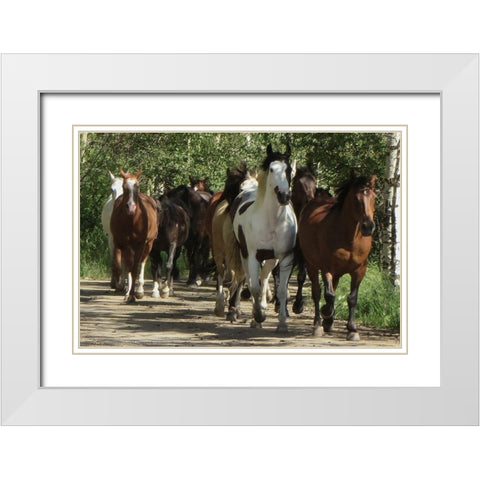 Galloping Friends White Modern Wood Framed Art Print with Double Matting by Prime, Marcus