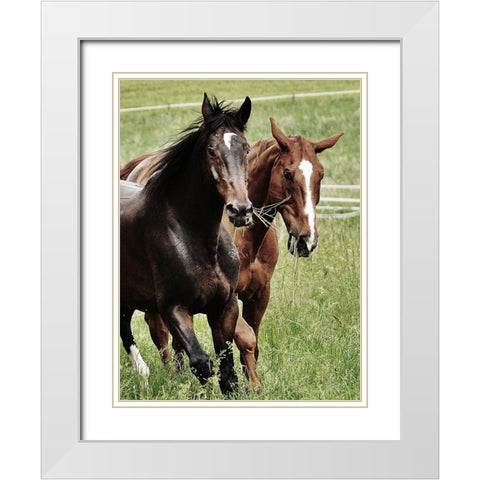 Free Spirits 1 White Modern Wood Framed Art Print with Double Matting by Prime, Marcus