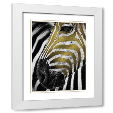 Vibrant Zebra White Modern Wood Framed Art Print with Double Matting by Prime, Marcus