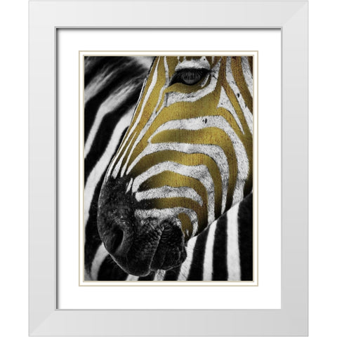 Vibrant Zebra White Modern Wood Framed Art Print with Double Matting by Prime, Marcus
