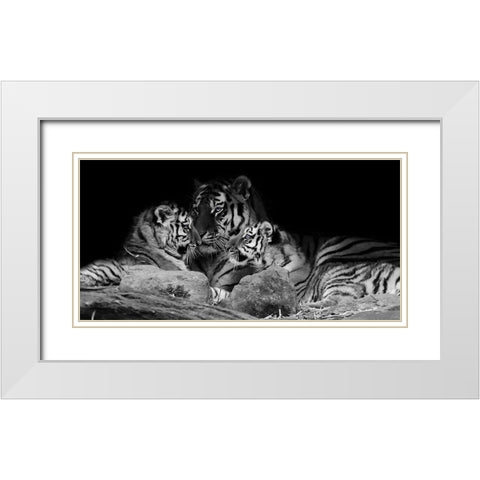 Strong Family 1 White Modern Wood Framed Art Print with Double Matting by Prime, Marcus