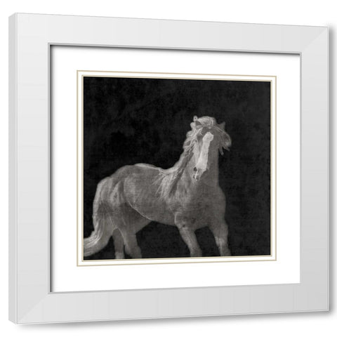 Midnight Run White Modern Wood Framed Art Print with Double Matting by Prime, Marcus