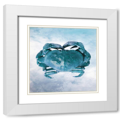 Underwater Friends 1 White Modern Wood Framed Art Print with Double Matting by Prime, Marcus