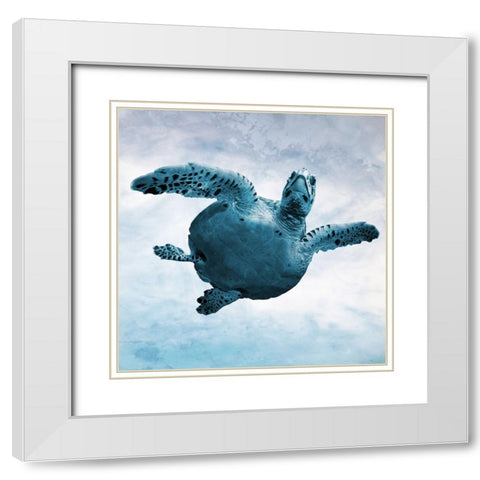 Underwater Friends 2 White Modern Wood Framed Art Print with Double Matting by Prime, Marcus