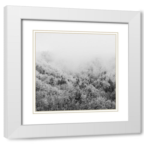 Winter Storm 1 White Modern Wood Framed Art Print with Double Matting by Prime, Marcus