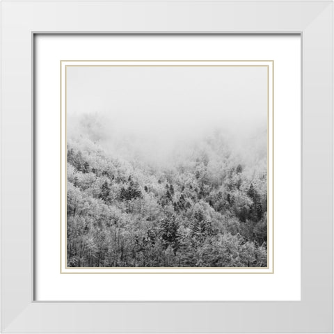 Winter Storm 1 White Modern Wood Framed Art Print with Double Matting by Prime, Marcus