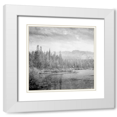 Vintage Wonders 1 White Modern Wood Framed Art Print with Double Matting by Prime, Marcus