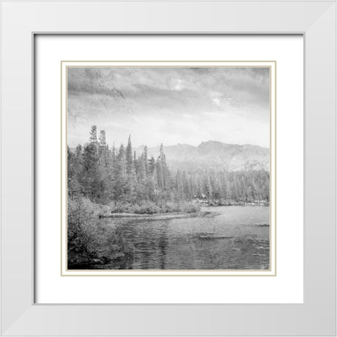 Vintage Wonders 1 White Modern Wood Framed Art Print with Double Matting by Prime, Marcus