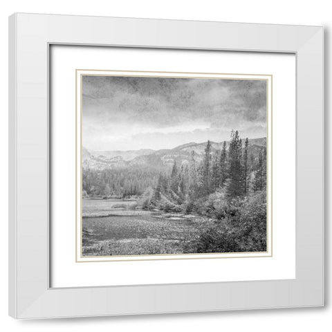 Vintage Wonders 2 White Modern Wood Framed Art Print with Double Matting by Prime, Marcus