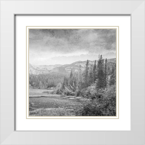 Vintage Wonders 2 White Modern Wood Framed Art Print with Double Matting by Prime, Marcus