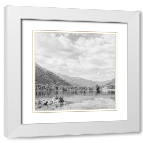 Vintage Wonders 4 White Modern Wood Framed Art Print with Double Matting by Prime, Marcus
