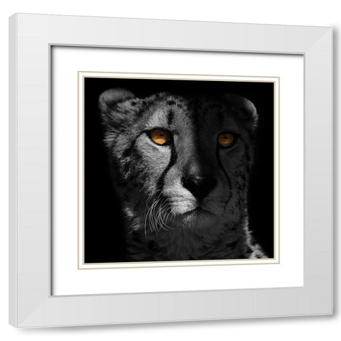 Glaring Gaze 1 White Modern Wood Framed Art Print with Double Matting by Prime, Marcus