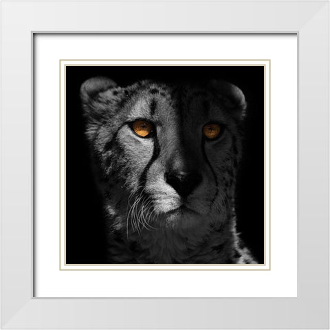 Glaring Gaze 1 White Modern Wood Framed Art Print with Double Matting by Prime, Marcus