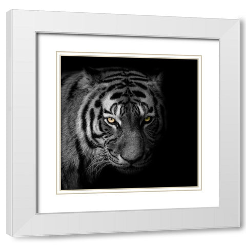 Glaring Gaze 2 White Modern Wood Framed Art Print with Double Matting by Prime, Marcus