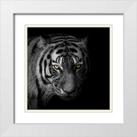 Glaring Gaze 2 White Modern Wood Framed Art Print with Double Matting by Prime, Marcus