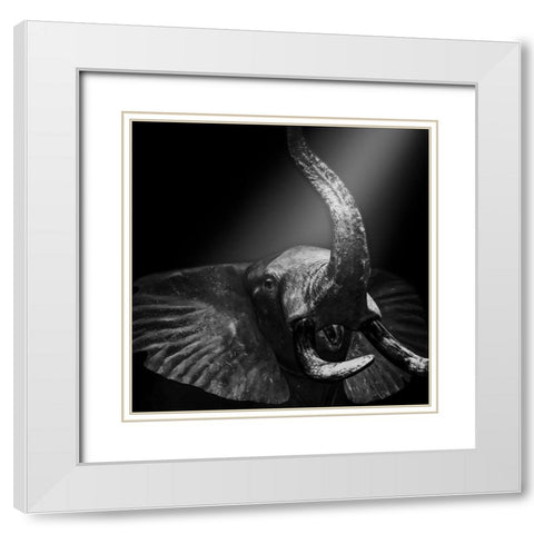 Beaming Safari White Modern Wood Framed Art Print with Double Matting by Prime, Marcus