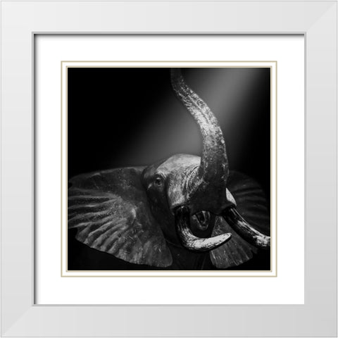 Beaming Safari White Modern Wood Framed Art Print with Double Matting by Prime, Marcus