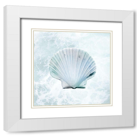 Seaside Infused Shell 1 White Modern Wood Framed Art Print with Double Matting by Prime, Marcus