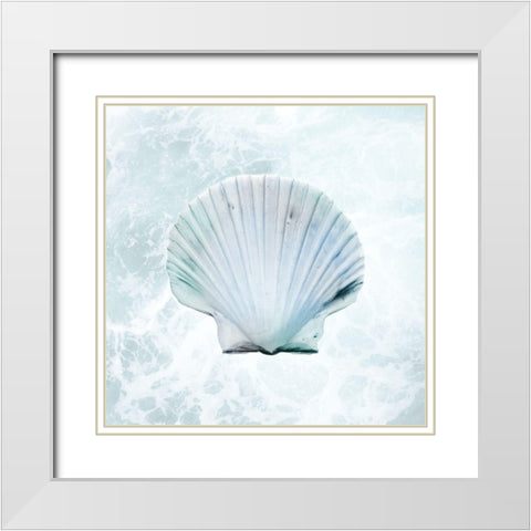 Seaside Infused Shell 1 White Modern Wood Framed Art Print with Double Matting by Prime, Marcus