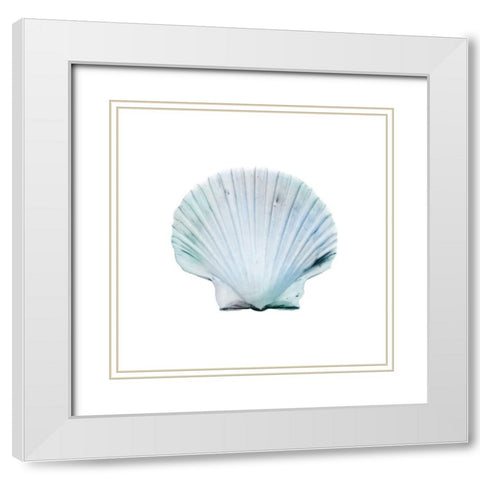 Seaside Shell 1 White Modern Wood Framed Art Print with Double Matting by Prime, Marcus