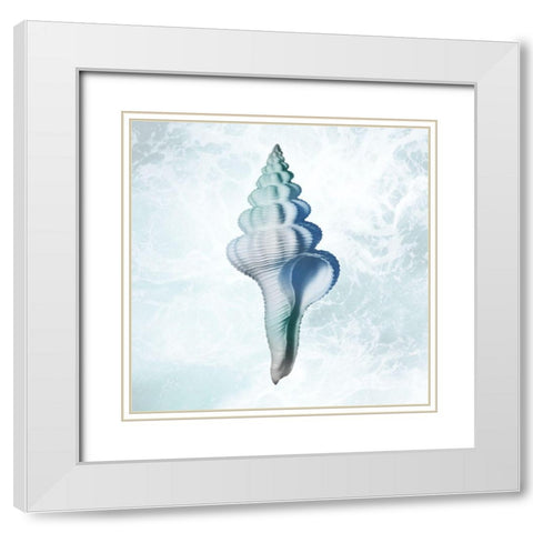 Seaside Infused Shell 2 White Modern Wood Framed Art Print with Double Matting by Prime, Marcus