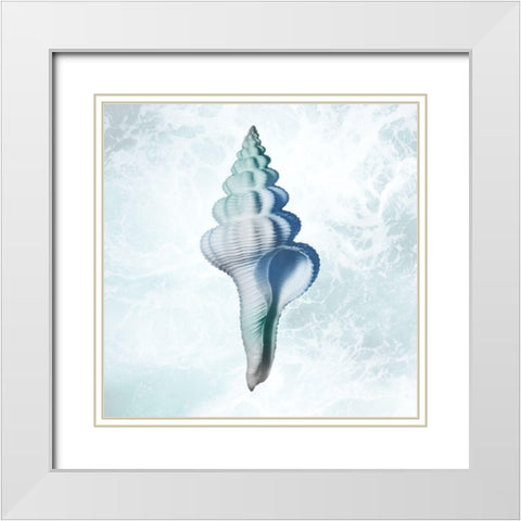Seaside Infused Shell 2 White Modern Wood Framed Art Print with Double Matting by Prime, Marcus