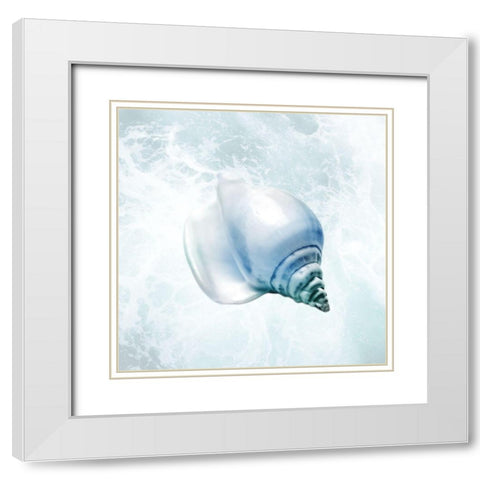 Seaside Infused Shell 3 White Modern Wood Framed Art Print with Double Matting by Prime, Marcus