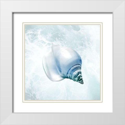 Seaside Infused Shell 3 White Modern Wood Framed Art Print with Double Matting by Prime, Marcus